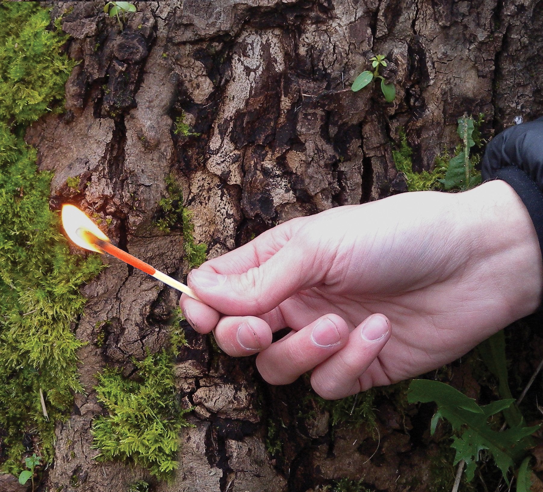 UCO Stormproof Match Kit with Waterproof Case, 25 Stormproof Matches and 3 Strikers - Orange